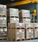 Why Palletized Shipping Dominates International Logistics