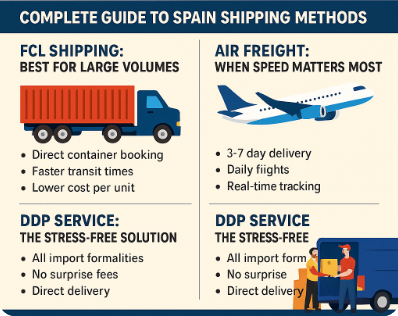 Ddp Services1