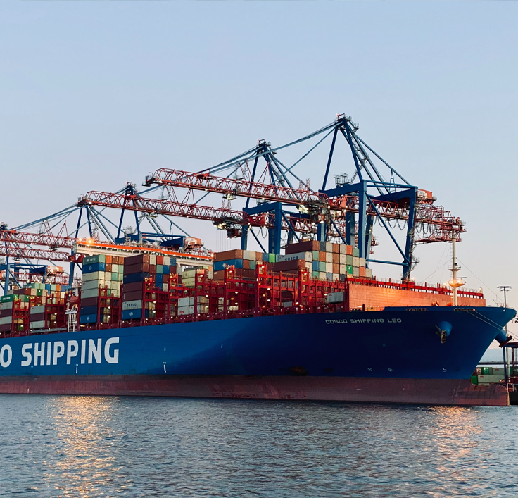 Forecast for Ocean Freight Demand And Prices in December 2024